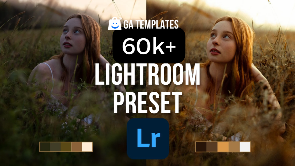60k+ Preset Collections